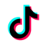 TikTok Ads